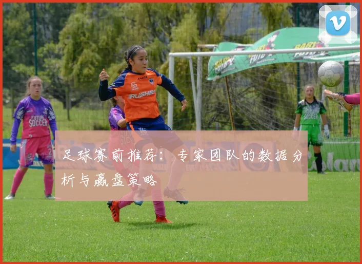足球赛前推荐：专家团队的数据分析与赢盘策略