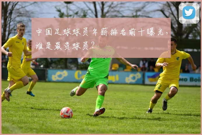中国足球球员年薪排名前十曝光，谁是最贵球员？