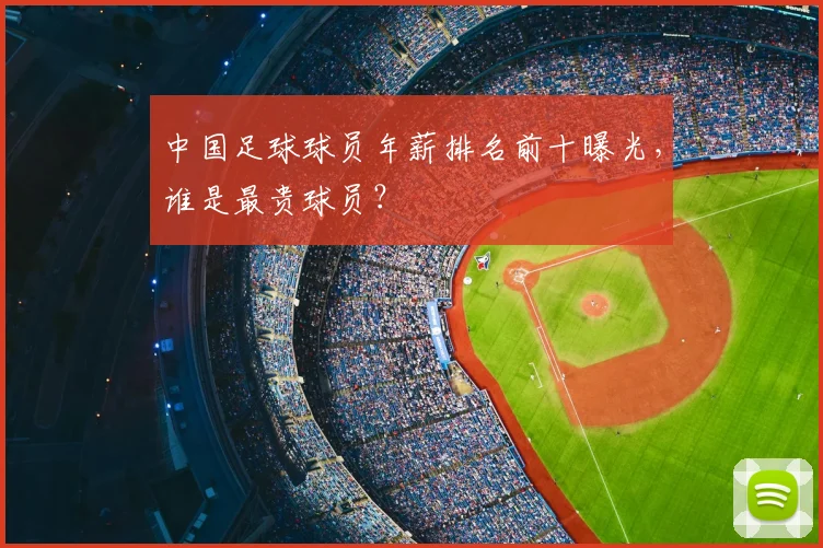 中国足球球员年薪排名前十曝光，谁是最贵球员？
