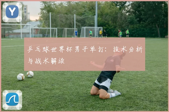 乒乓球世界杯男子单打：技术分析与战术解读
